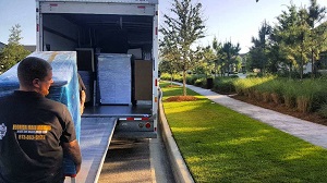 movers tampa