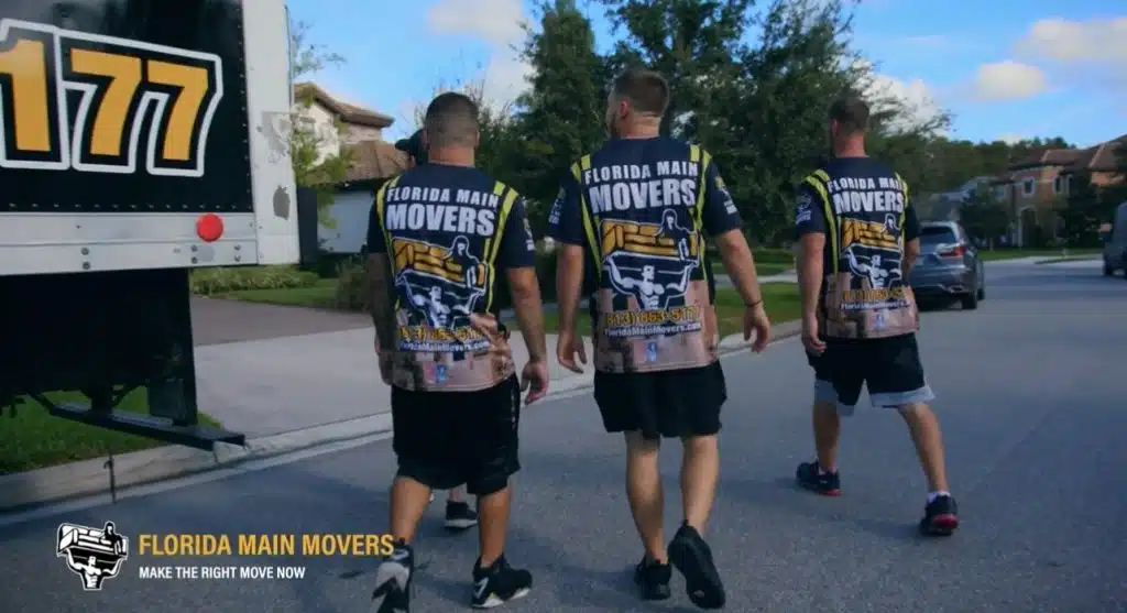 best movers in tampa bay